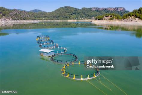 Farm Dams Photos And Premium High Res Pictures Getty Images