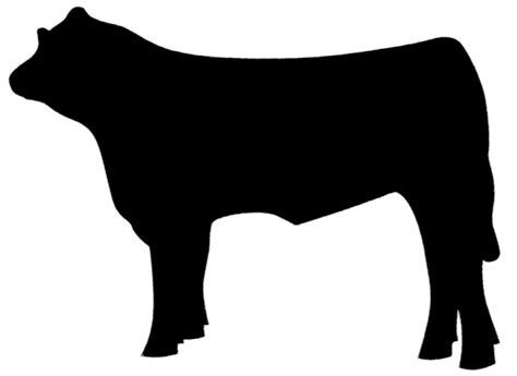 Show Steer Clipart 10 Free Cliparts Download Images On Clipground 2024