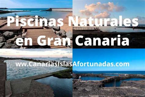 Las Mejores Piscinas Naturales De Norte A Sur En Gran Canaria Charcos