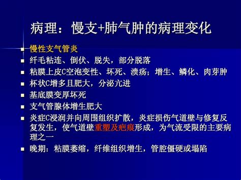 慢性阻塞性肺病 Ppt Word文档在线阅读与下载 文档网