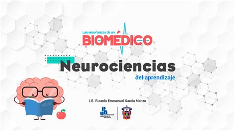 Neurociencias Del Aprendizaje 🧠📚 Youtube