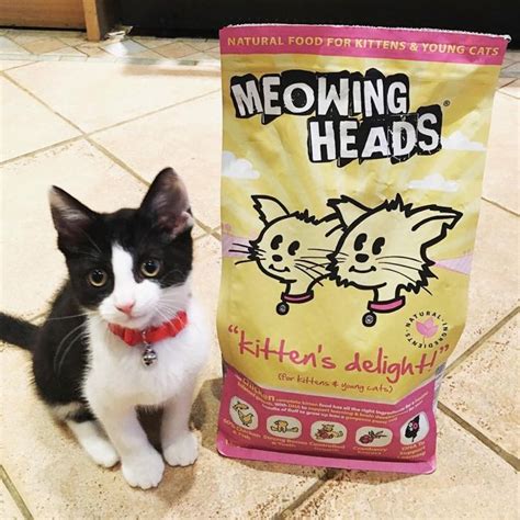 Meowing Heads Cat Food Review Flash Sales