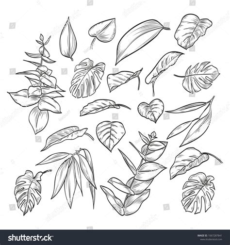 Handdrawnlaurel Images Stock Photos Vectors Shutterstock