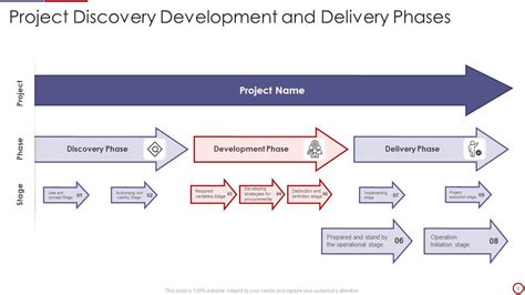 Project Discovery Powerpoint Ppt Template Bundles Presentation