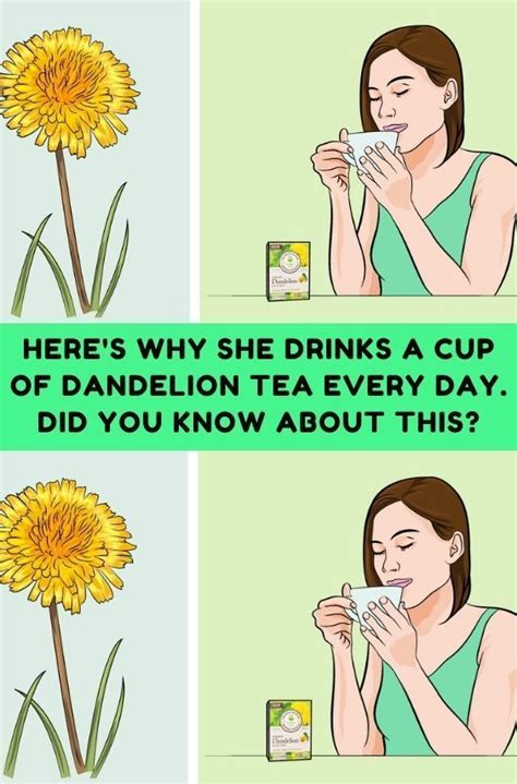 Dandelion Tea Benefits Artofit