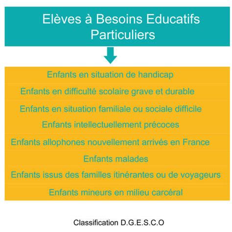 Les Eleves A Besoins Educatifs Particuliers Les Besoins Educatifs