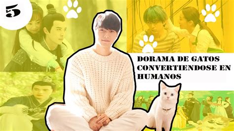 5 DORAMAS DONDE GATO SE TRANFORMAN EN HUMANO YouTube