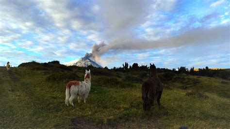 Quateur Le Cotopaxi Entre En Ruption Et Crache Un Nuage De Fum E