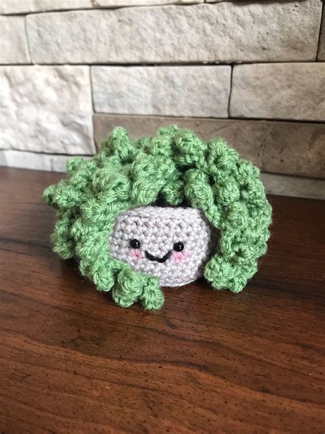 String Of Pearls Crochet Succulent Crochet Plant In Pot With Etsy