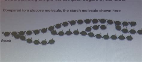 Solved Compared to a glucose molecule, the starch molecule | Chegg.com