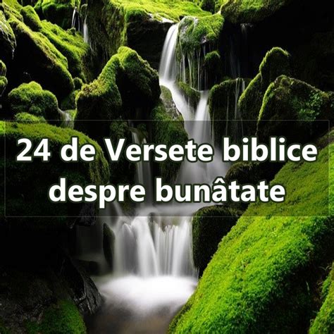 24 de Versete biblice despre bunâtate Calea Ingusta