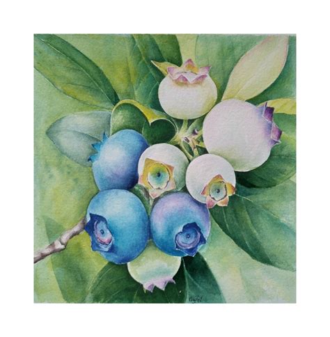 Blueberry Watercolor Painting Original Botanical Wall Art Etsy