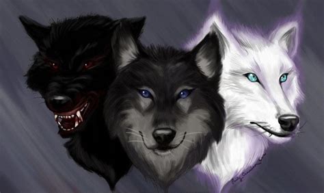 What kind of wolf are you? (3) - Personality Quiz