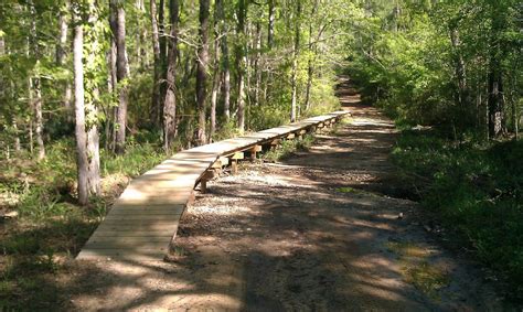 Huntsville State Park Mountain Bike Trail In Huntsville Texas