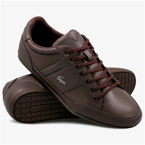 Venta Tenis Lacoste Hombre Cafes En Stock