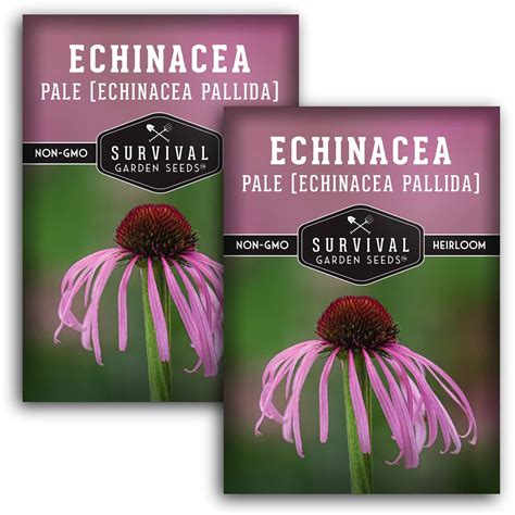 2 Packs Pale Coneflower Seed - Pink Echinacea Pallida - Non-GMO