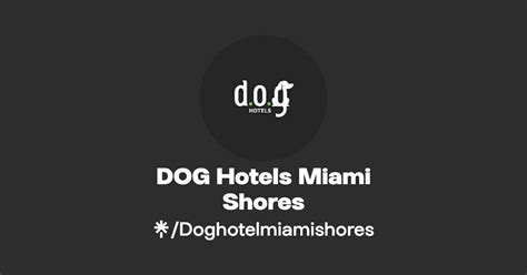 Dog Hotels Miami Shores Instagram Linktree