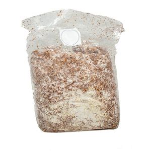 Mushroom Spawn Bags (Made-to-Order) – Far West Fungi