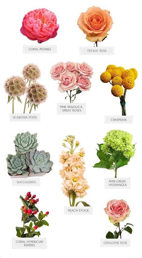 Tipos De Flores Y Sus Nombres