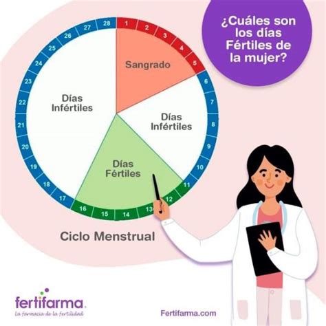 C Mo Mejorar La Fertilidad Femenina Fertifarma