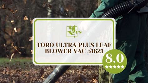 Toro Ultra Plus Leaf Blower Vac 51621 Review Guide Evergreen Seeds