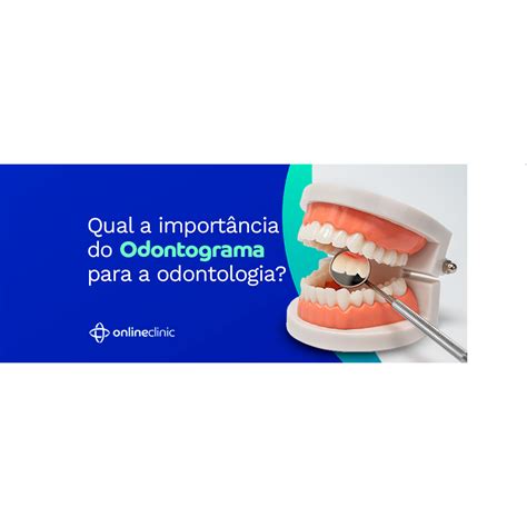 Qual A Import Ncia Do Odontograma Para A Odontologia Online Clinic