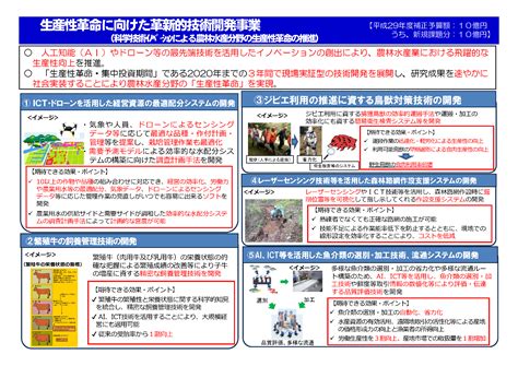 生物系特定産業技術研究支援センター生産性革命に向けた革新的技術開発事業 農研機構