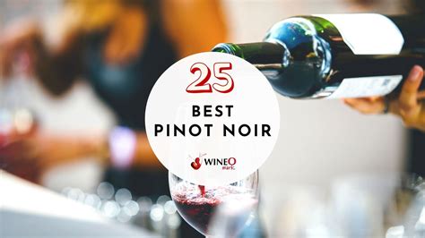 25 Best Pinot Noir Under 30 Under 50 For 2023