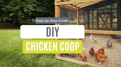 DIY Chicken Coop Step By Step Guide Concrete Taxi