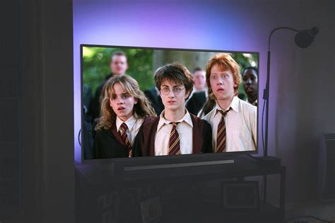 Harry Potter Netflix - RachelleSion