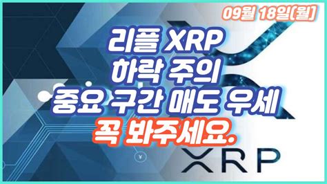 리플 Xrp 하락 주의 중요 구간 매도 우세 꼭 봐주세요 Youtube