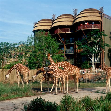 5 Best Disney World Hotels in Orlando