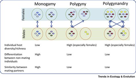 The Reproductive Microbiome An Emerging Driver Of Sexual Selection