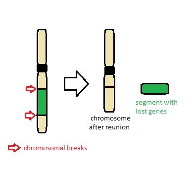 deletion wikilectures