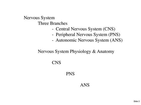 Chapter 8 The Nervous System Ppt Download