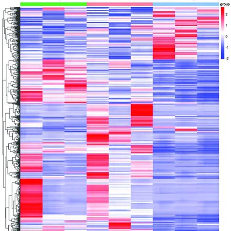 Gene Expression Clustering Heat Map Under Three Rearing Systems Each