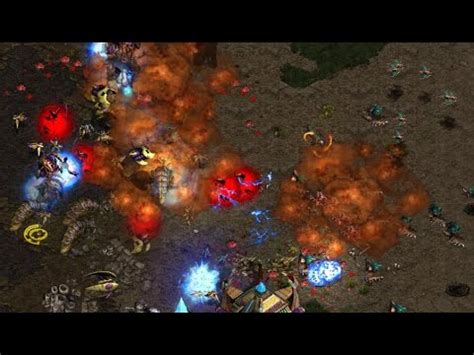 Epic Insanity Jaedong Z Vs Ruin P On Polypoid Starcraft Brood