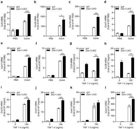 Hepatocyte Dax1 Deletion Exacerbates Inflammatory Liver Injury By Inducing The Recruitment Of