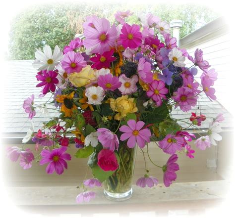 Late summer/early fall arrangement .... your backyard flowers good to the end ... cosmos ...