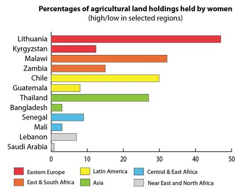 Fao Policy Brief Detail