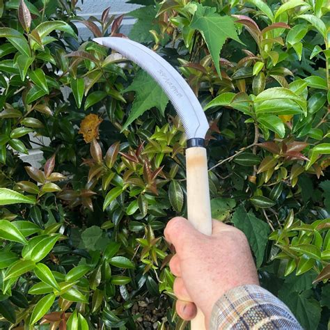 Japanese Pruning Saw – Earthshop Global