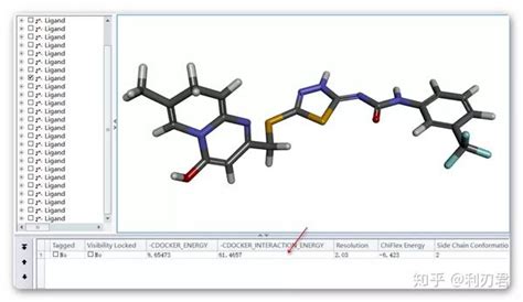 分子模拟软件discovery Studio教程四：分子对接构象结果分析及虚拟筛选 知乎