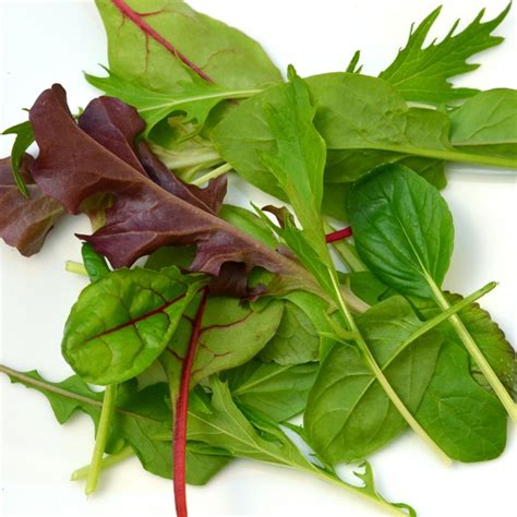 Mesclun