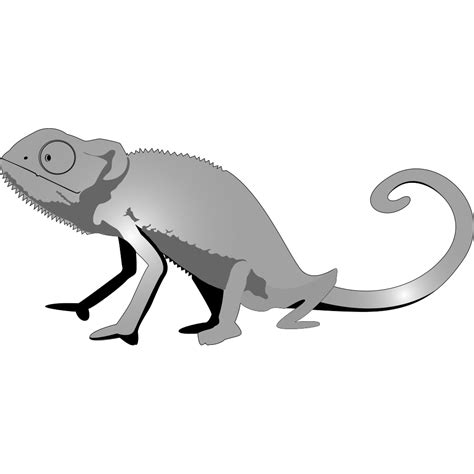 Mlitty Gecko Png Svg Clip Art For Web Download Clip Art Png Icon Arts