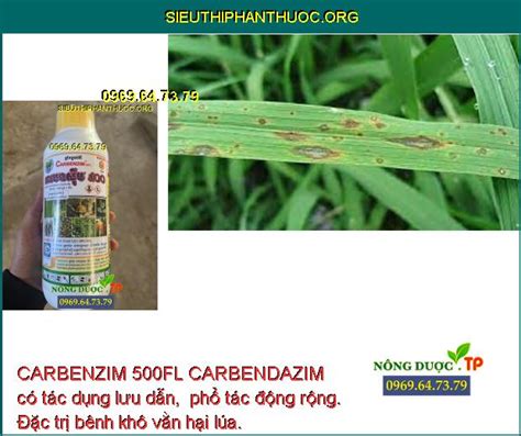 CARBENZIM 500FL CARBENDAZIM- Đặc Trị Khô Vằn- Đốm Lá- Thán Thư- Đốm Quả ...