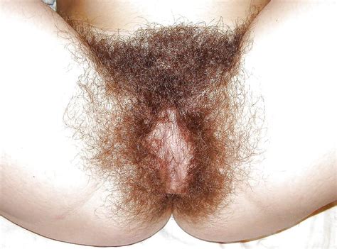 Beautiful Delectable Hairy Pussys Upclose Porn Pictures XXX Photos Sex Images PICTOA