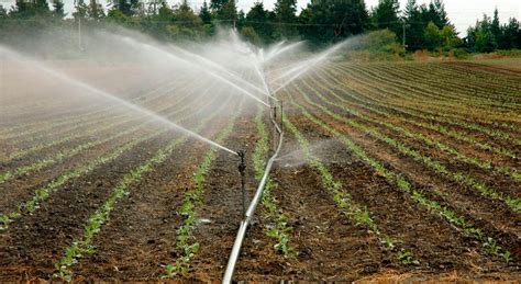 Sistema De Riego Inteligente En La Agricultura