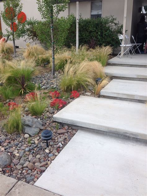 Drought Tolerant Plants And Clean Concrete Steps Entrada De Casas