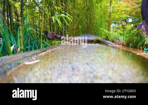 Traditional japanese garden fountain spring Stock Videos & Footage - HD ...