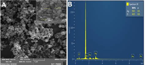 Frontiers Biogenic Silver Nanoparticles Eradicate Of Pseudomonas